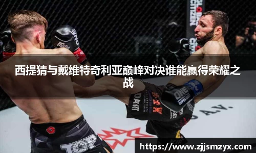 西提猜与戴维特奇利亚巅峰对决谁能赢得荣耀之战